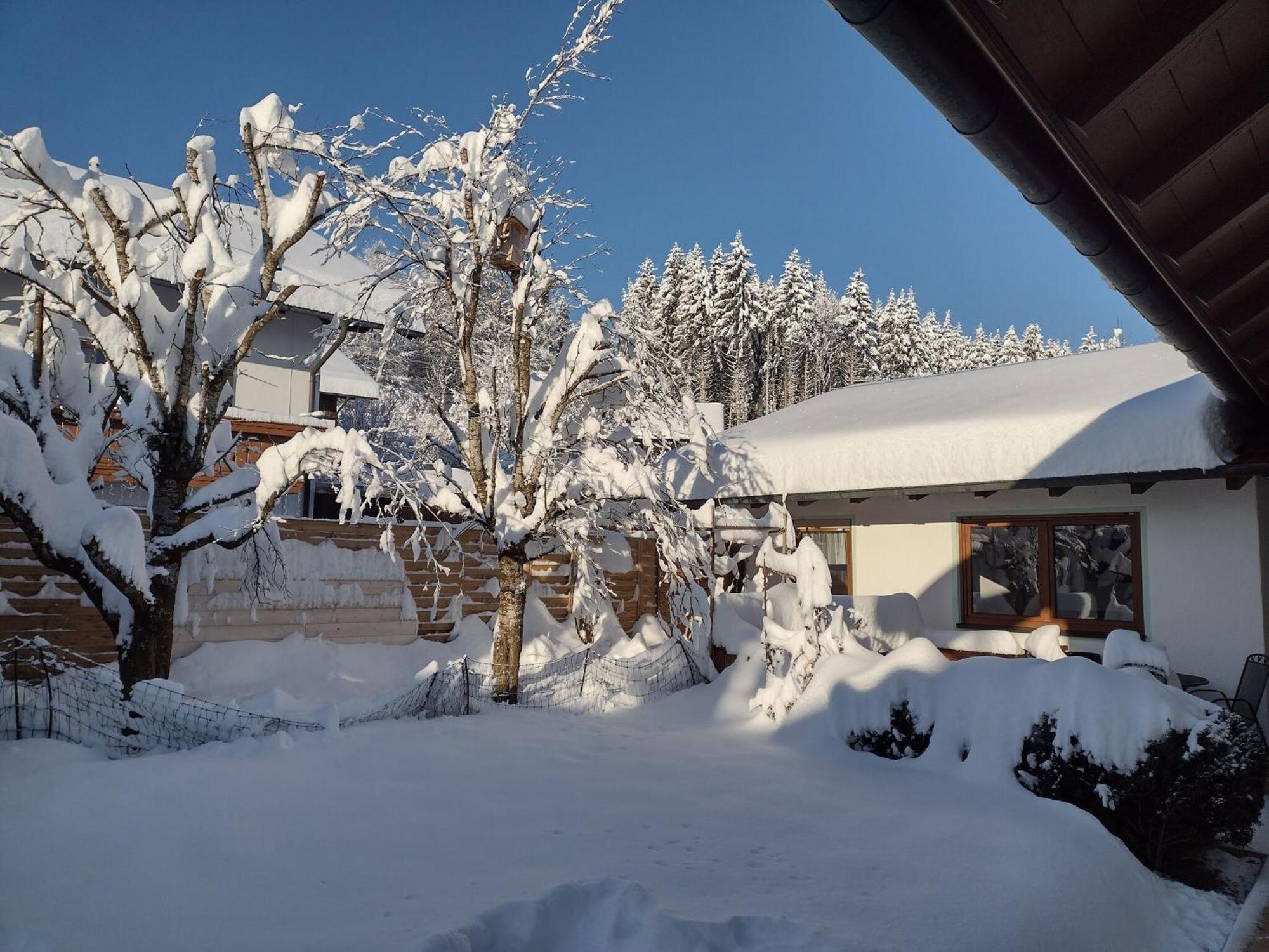 Cosy Holiday Home With Sauna In The Allg U Burggen Exterior photo